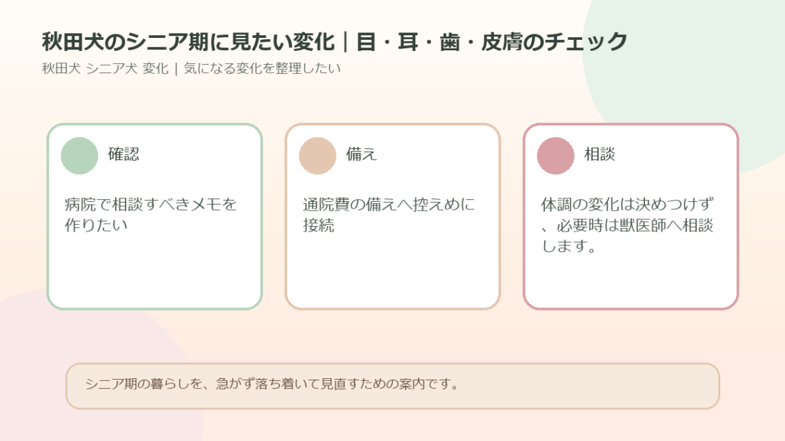 秋田犬のシニア期に見たい変化｜目・耳・歯・皮膚のチェックのアイキャッチ図解