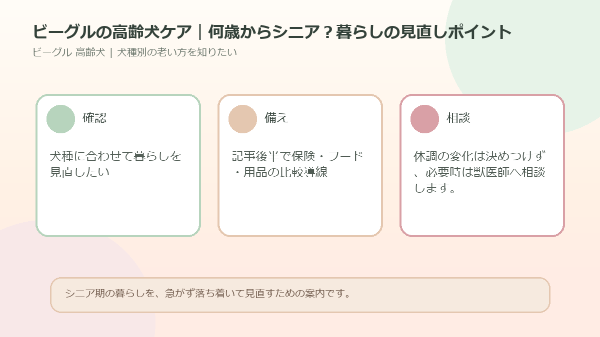 ビーグルの高齢犬ケア｜何歳からシニア？暮らしの見直しポイントのアイキャッチ図解