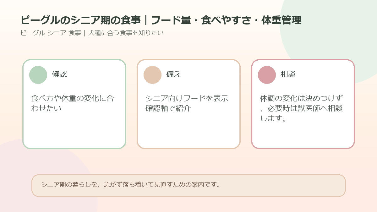 ビーグルのシニア期の食事｜フード量・食べやすさ・体重管理のアイキャッチ図解