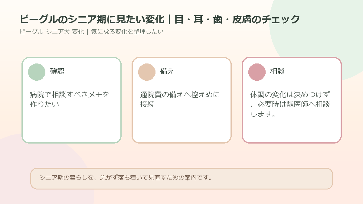 ビーグルのシニア期に見たい変化｜目・耳・歯・皮膚のチェックのアイキャッチ図解