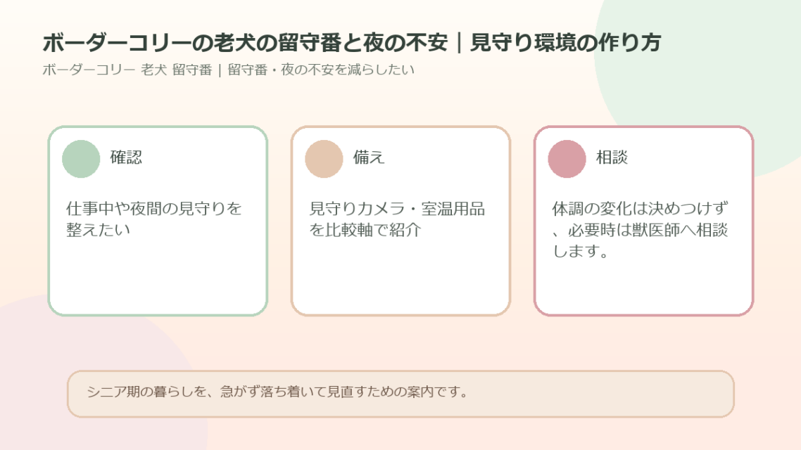 ボーダーコリーの老犬の留守番と夜の不安｜見守り環境の作り方のアイキャッチ図解