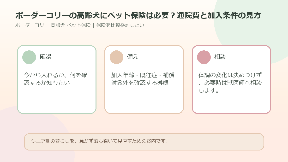 ボーダーコリーの高齢犬にペット保険は必要？通院費と加入条件の見方のアイキャッチ図解