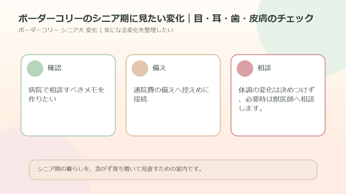 ボーダーコリーのシニア期に見たい変化｜目・耳・歯・皮膚のチェックのアイキャッチ図解