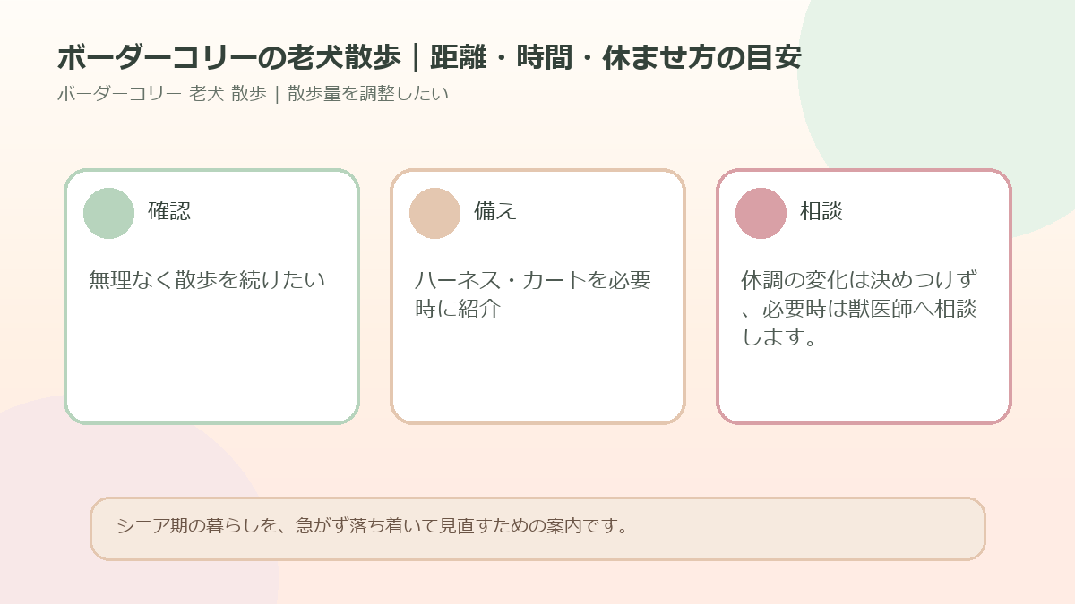 ボーダーコリーの老犬散歩｜距離・時間・休ませ方の目安のアイキャッチ図解