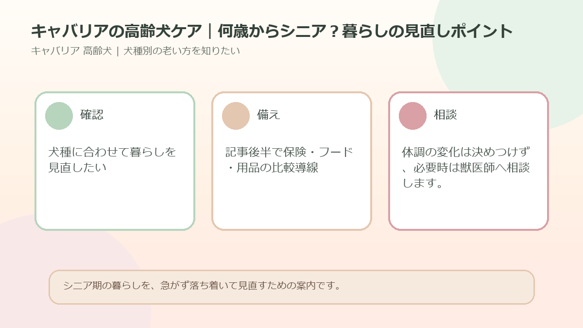 キャバリアの高齢犬ケア｜何歳からシニア？暮らしの見直しポイントのアイキャッチ図解
