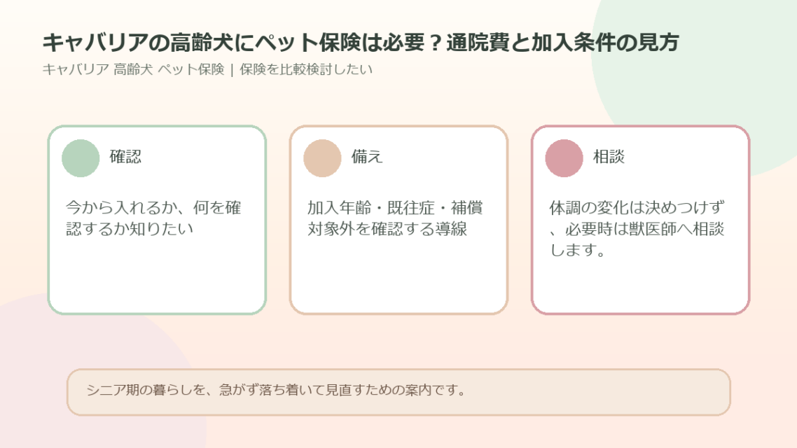キャバリアの高齢犬にペット保険は必要？通院費と加入条件の見方のアイキャッチ図解