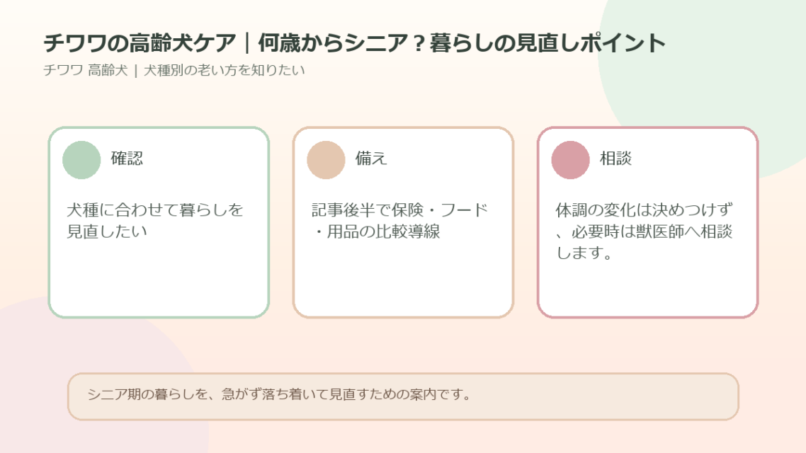 チワワの高齢犬ケア｜何歳からシニア？暮らしの見直しポイントのアイキャッチ図解