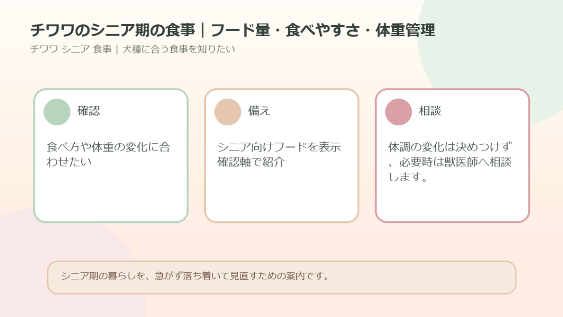 チワワのシニア期の食事｜フード量・食べやすさ・体重管理のアイキャッチ図解