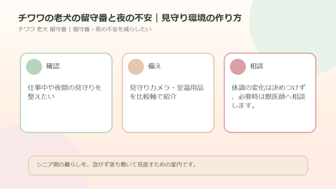 チワワの老犬の留守番と夜の不安｜見守り環境の作り方のアイキャッチ図解