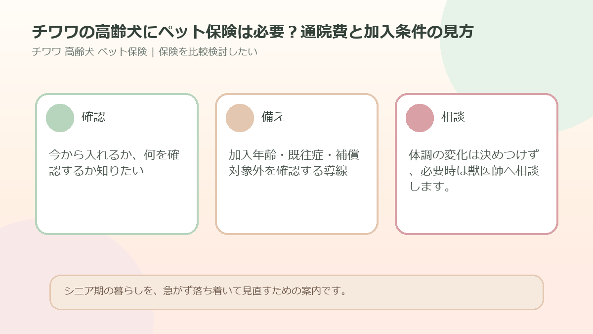 チワワの高齢犬にペット保険は必要？通院費と加入条件の見方のアイキャッチ図解