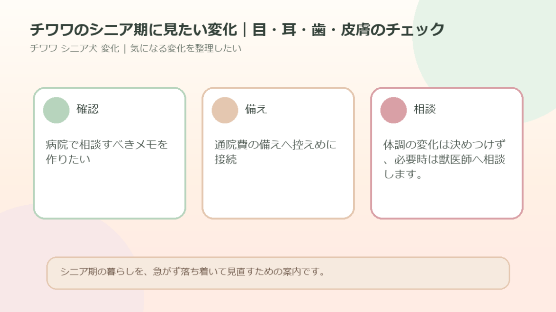 チワワのシニア期に見たい変化｜目・耳・歯・皮膚のチェックのアイキャッチ図解