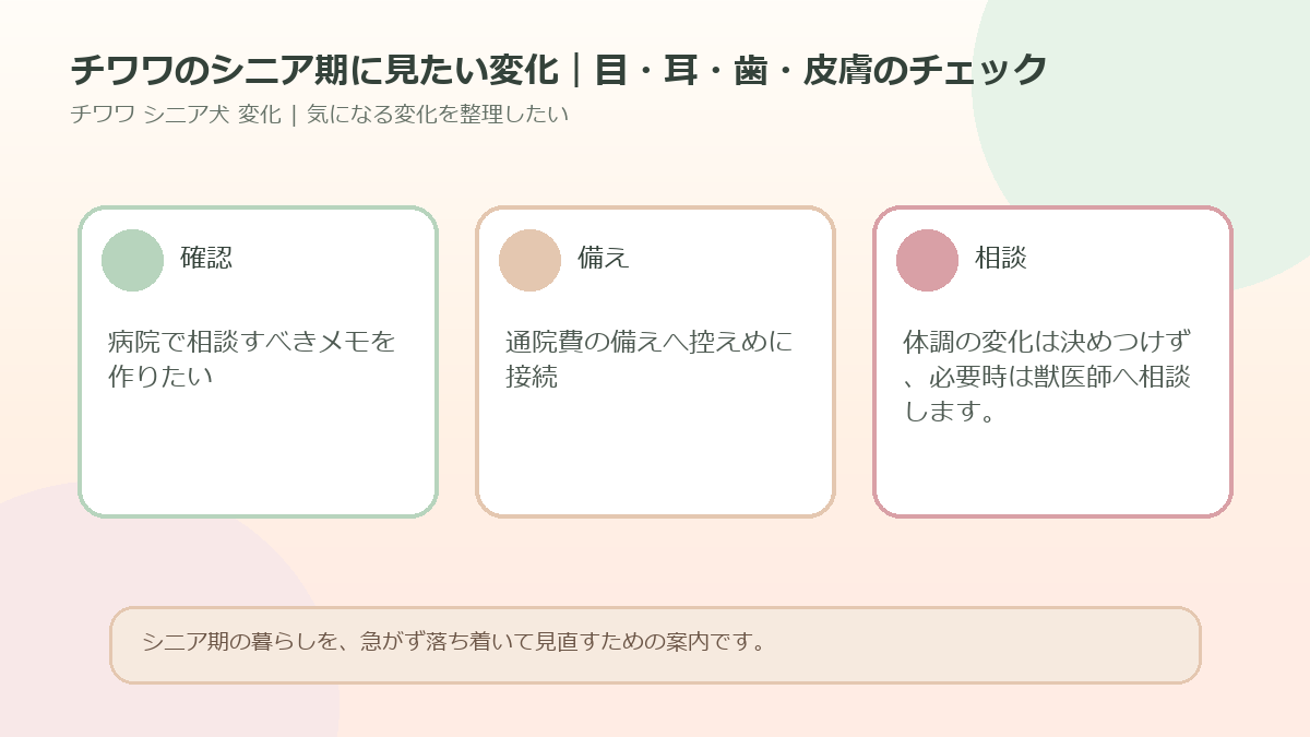 チワワのシニア期に見たい変化｜目・耳・歯・皮膚のチェックのアイキャッチ図解