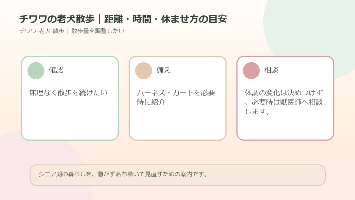 チワワの老犬散歩｜距離・時間・休ませ方の目安のアイキャッチ図解
