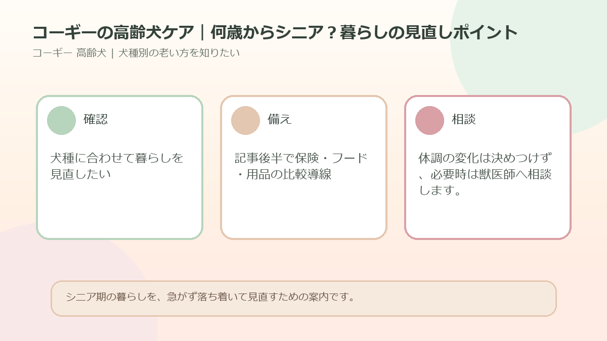 コーギーの高齢犬ケア｜何歳からシニア？暮らしの見直しポイントのアイキャッチ図解