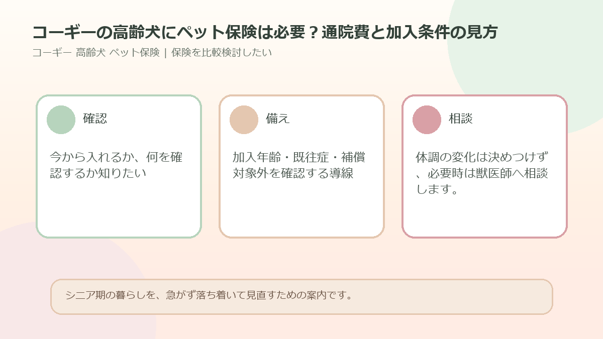 コーギーの高齢犬にペット保険は必要？通院費と加入条件の見方のアイキャッチ図解