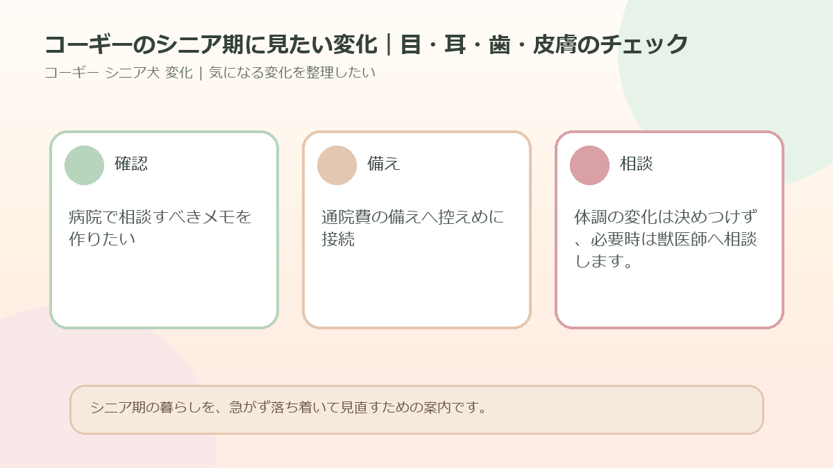 コーギーのシニア期に見たい変化｜目・耳・歯・皮膚のチェックのアイキャッチ図解