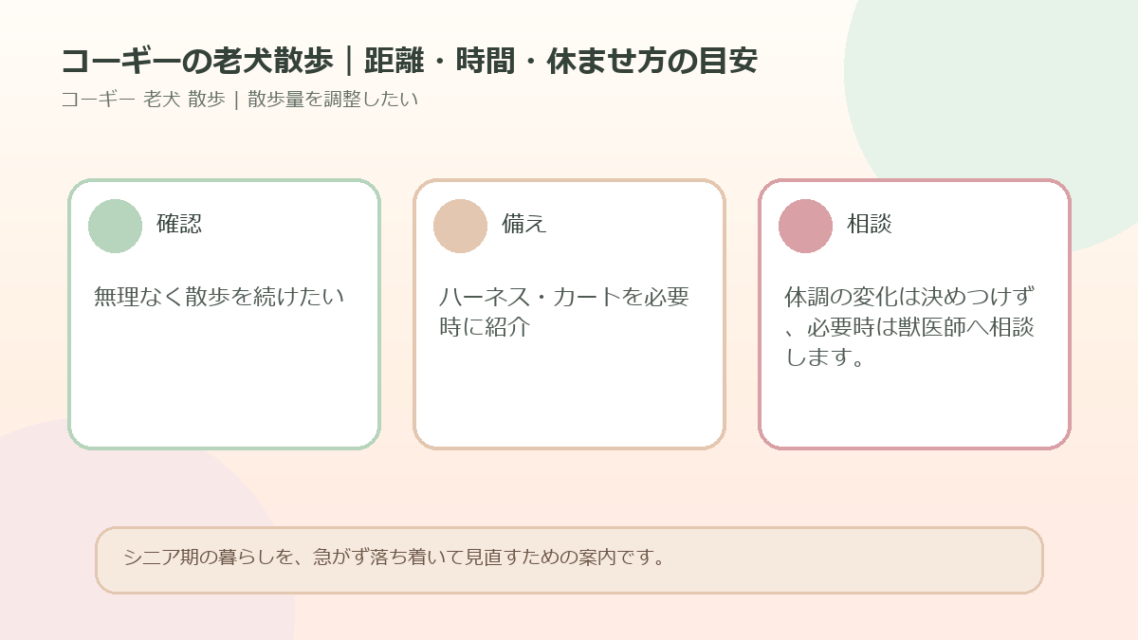コーギーの老犬散歩｜距離・時間・休ませ方の目安のアイキャッチ図解