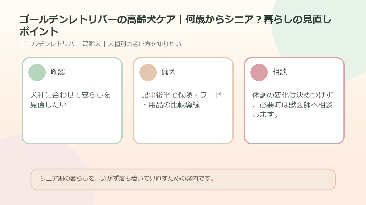 ゴールデンレトリバーの高齢犬ケア｜何歳からシニア？暮らしの見直しポイントのアイキャッチ図解