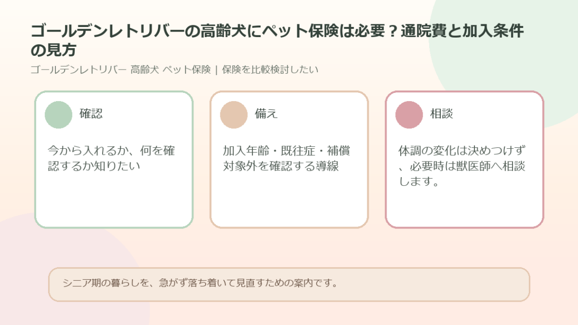 ゴールデンレトリバーの高齢犬にペット保険は必要？通院費と加入条件の見方のアイキャッチ図解