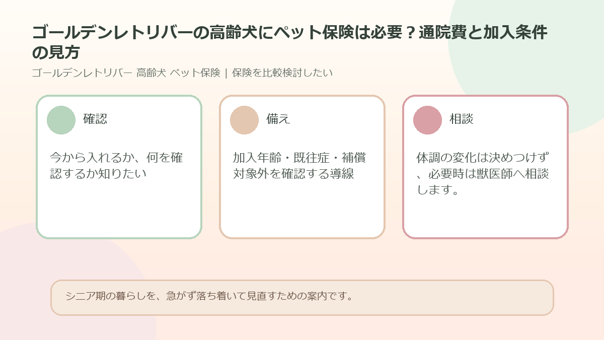 ゴールデンレトリバーの高齢犬にペット保険は必要？通院費と加入条件の見方のアイキャッチ図解