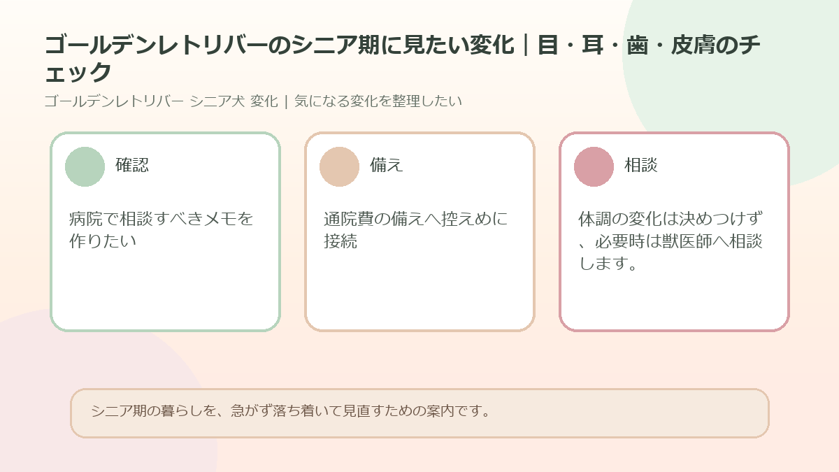 ゴールデンレトリバーのシニア期に見たい変化｜目・耳・歯・皮膚のチェックのアイキャッチ図解