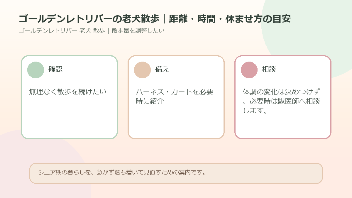 ゴールデンレトリバーの老犬散歩｜距離・時間・休ませ方の目安のアイキャッチ図解