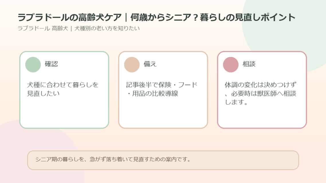 ラブラドールの高齢犬ケア｜何歳からシニア？暮らしの見直しポイントのアイキャッチ図解