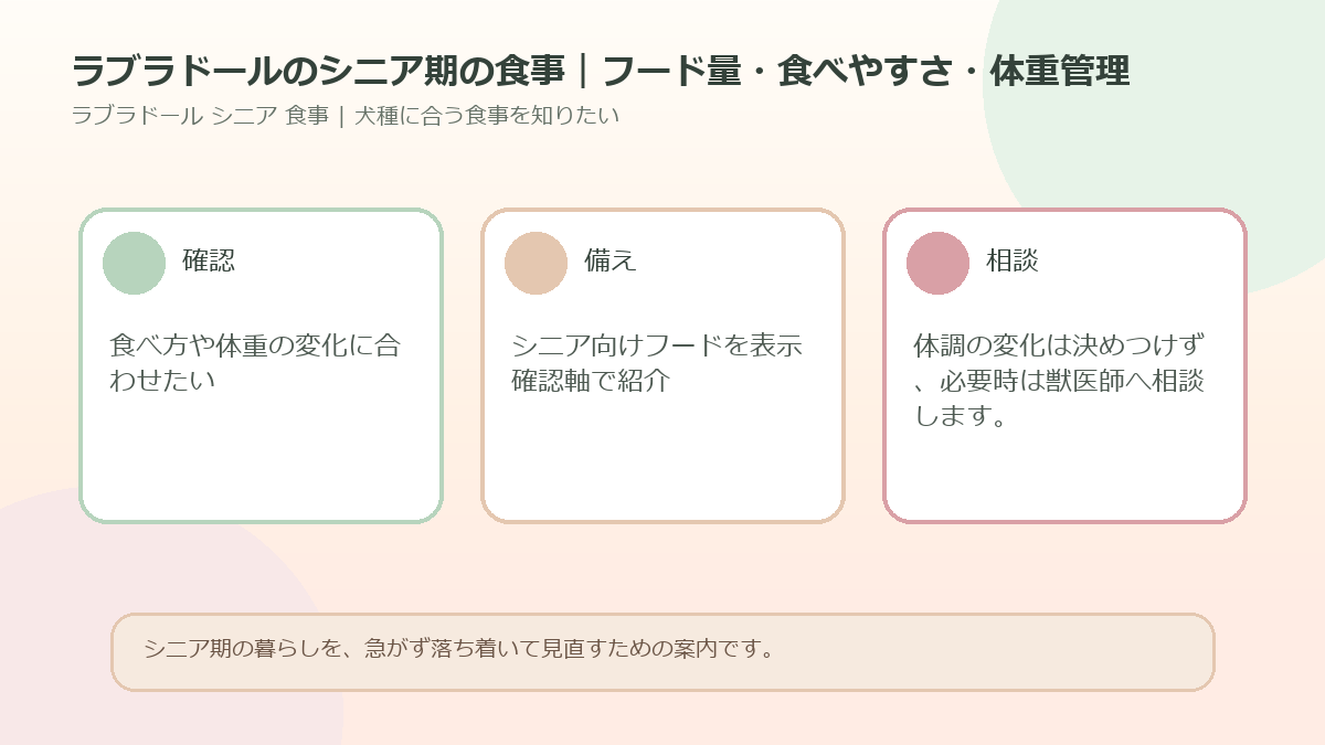 ラブラドールのシニア期の食事｜フード量・食べやすさ・体重管理のアイキャッチ図解