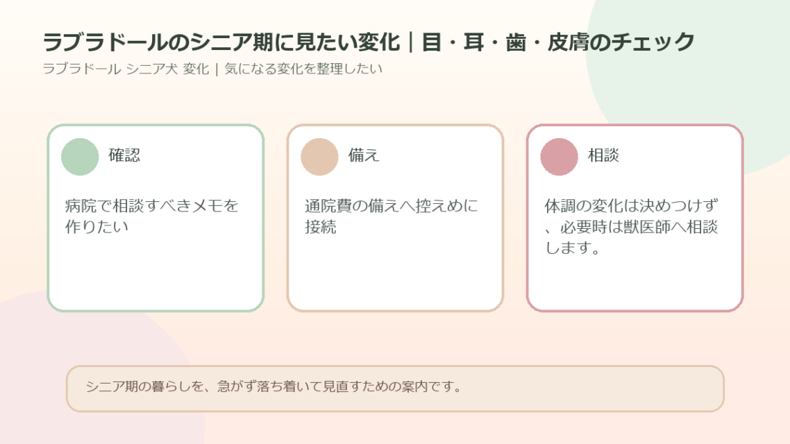 ラブラドールのシニア期に見たい変化｜目・耳・歯・皮膚のチェックのアイキャッチ図解