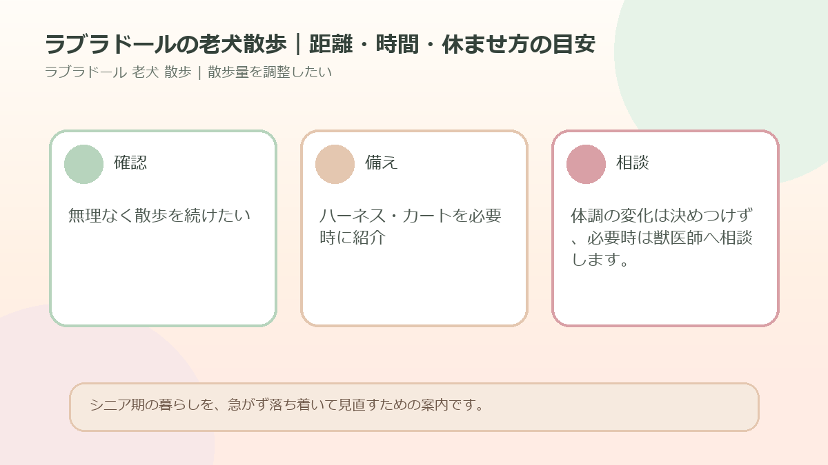 ラブラドールの老犬散歩｜距離・時間・休ませ方の目安のアイキャッチ図解