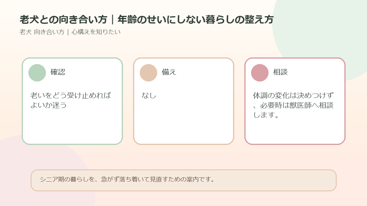老犬との向き合い方｜年齢のせいにしない暮らしの整え方のアイキャッチ図解