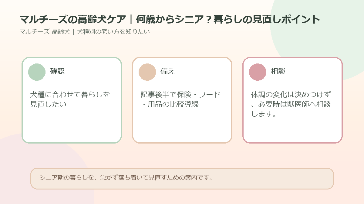 マルチーズの高齢犬ケア｜何歳からシニア？暮らしの見直しポイントのアイキャッチ図解
