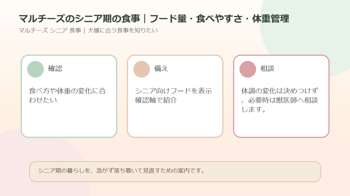 マルチーズのシニア期の食事｜フード量・食べやすさ・体重管理のアイキャッチ図解