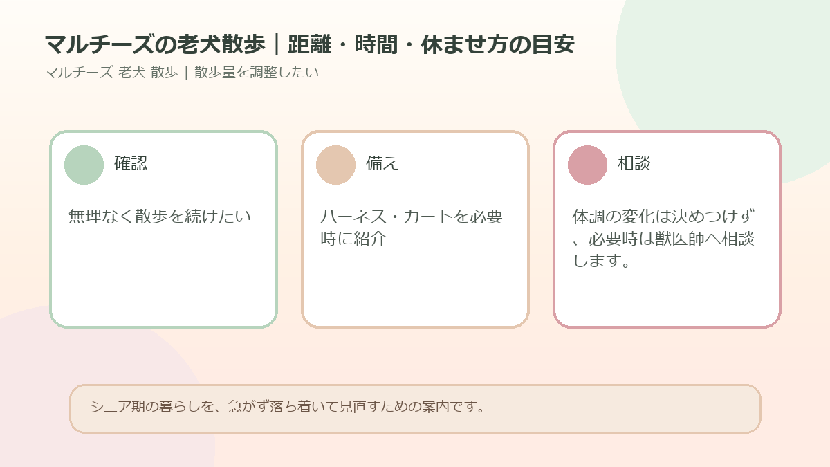マルチーズの老犬散歩｜距離・時間・休ませ方の目安のアイキャッチ図解