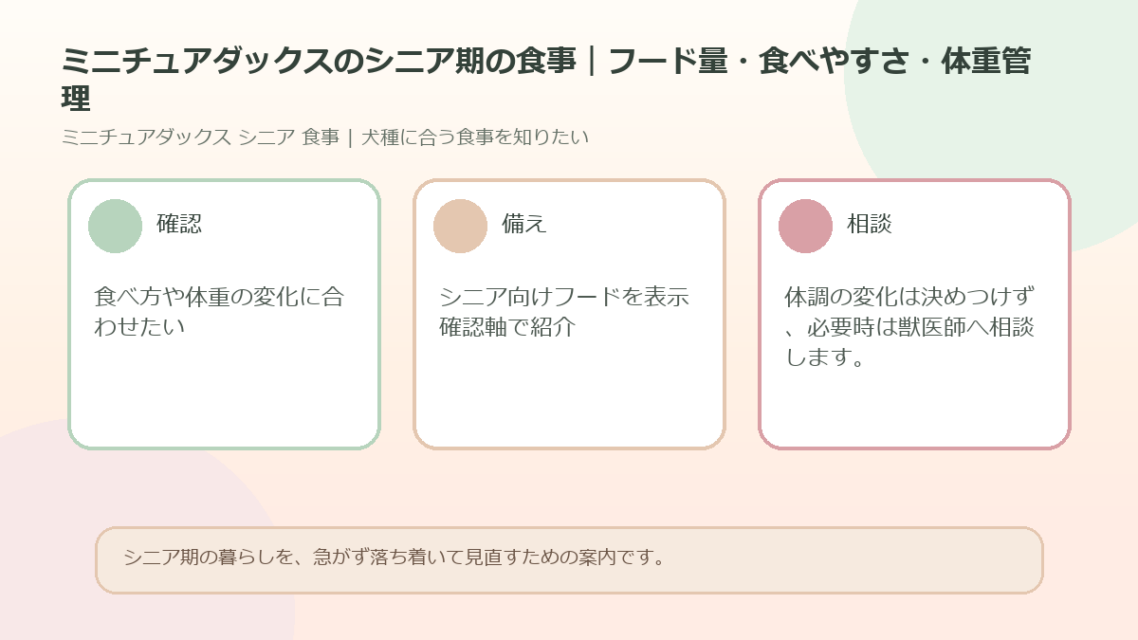 ミニチュアダックスのシニア期の食事｜フード量・食べやすさ・体重管理のアイキャッチ図解