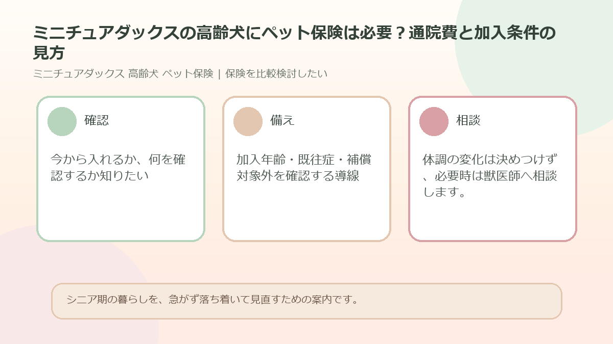 ミニチュアダックスの高齢犬にペット保険は必要？通院費と加入条件の見方のアイキャッチ図解