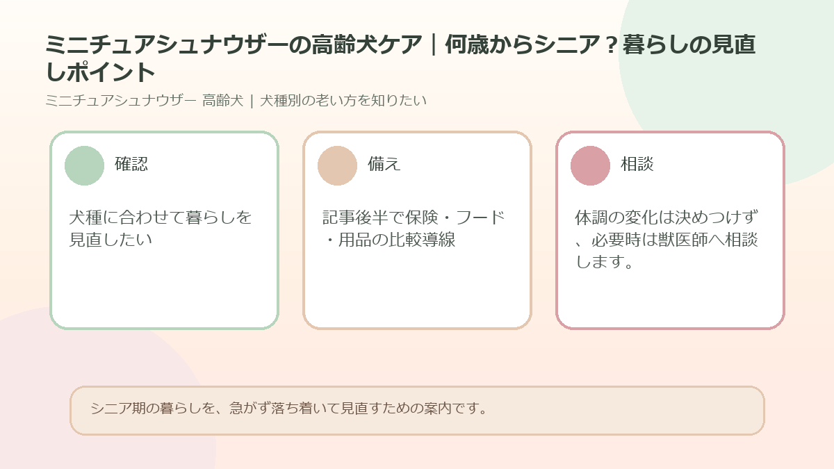 ミニチュアシュナウザーの高齢犬ケア｜何歳からシニア？暮らしの見直しポイントのアイキャッチ図解
