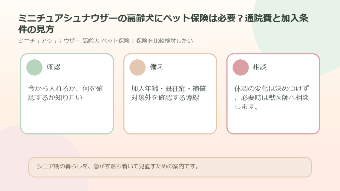 ミニチュアシュナウザーの高齢犬にペット保険は必要？通院費と加入条件の見方のアイキャッチ図解