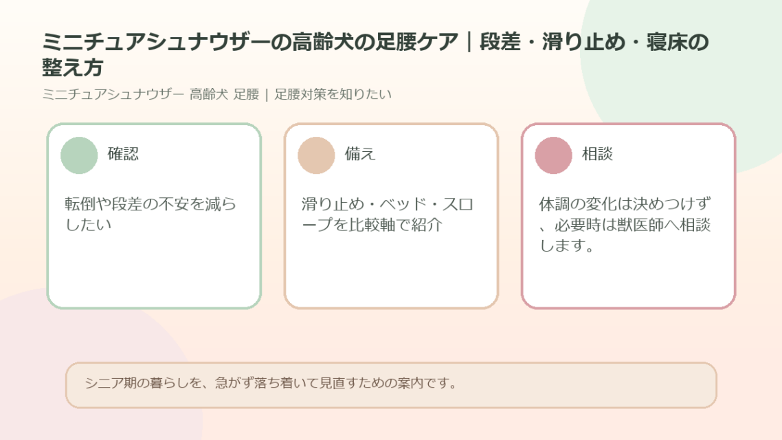 ミニチュアシュナウザーの高齢犬の足腰ケア｜段差・滑り止め・寝床の整え方のアイキャッチ図解