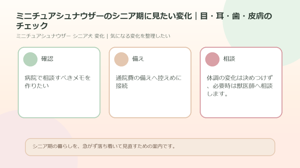 ミニチュアシュナウザーのシニア期に見たい変化｜目・耳・歯・皮膚のチェックのアイキャッチ図解