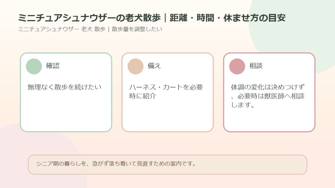 ミニチュアシュナウザーの老犬散歩｜距離・時間・休ませ方の目安のアイキャッチ図解