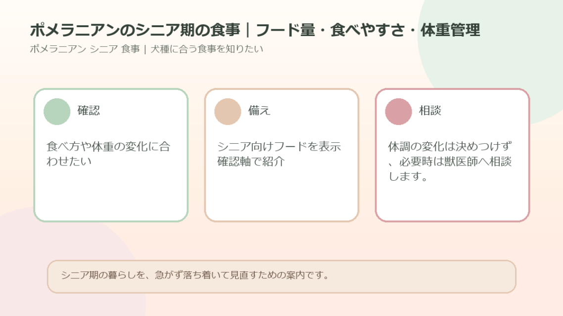 ポメラニアンのシニア期の食事｜フード量・食べやすさ・体重管理のアイキャッチ図解
