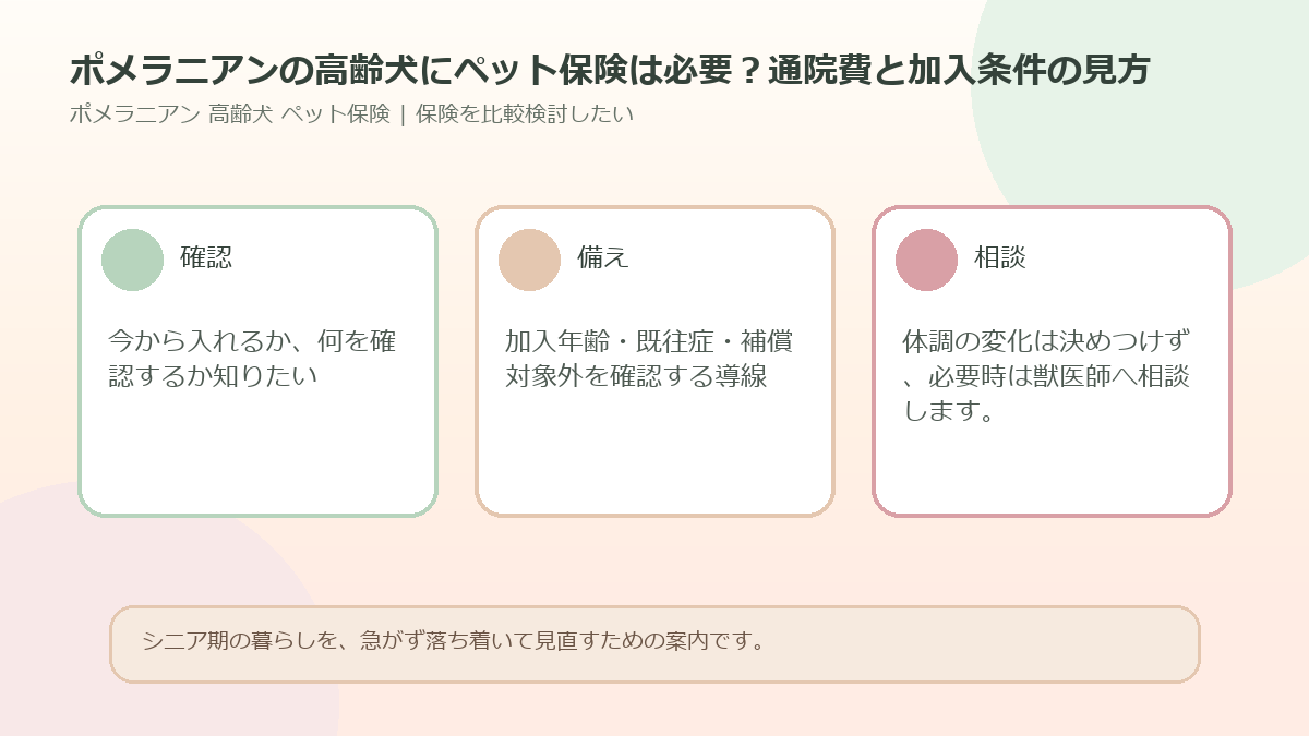 ポメラニアンの高齢犬にペット保険は必要？通院費と加入条件の見方のアイキャッチ図解