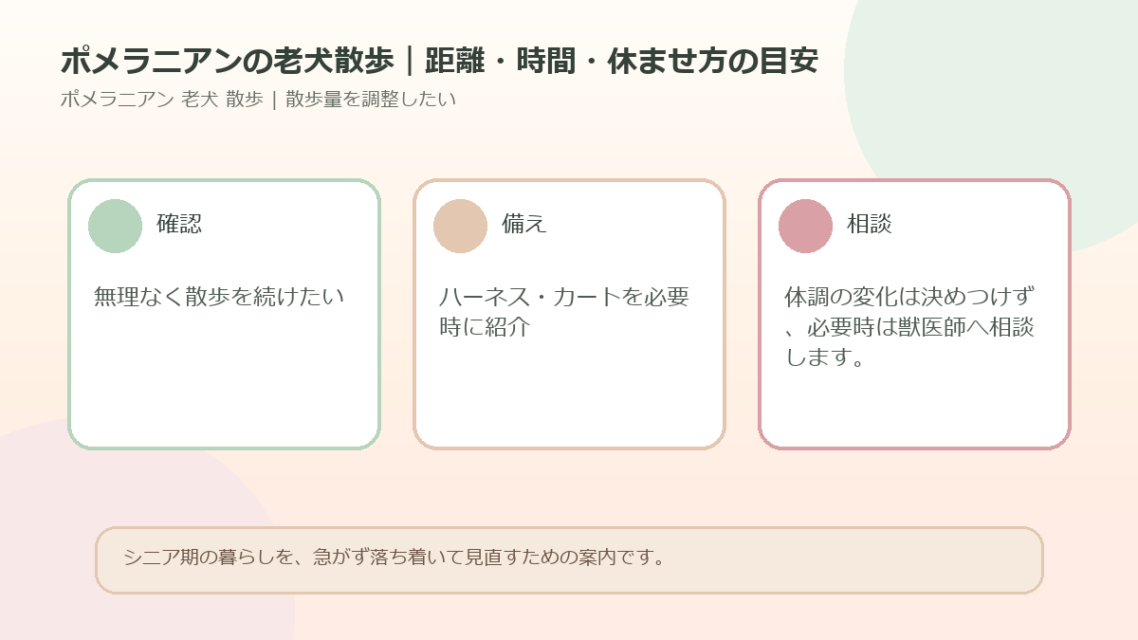 ポメラニアンの老犬散歩｜距離・時間・休ませ方の目安のアイキャッチ図解