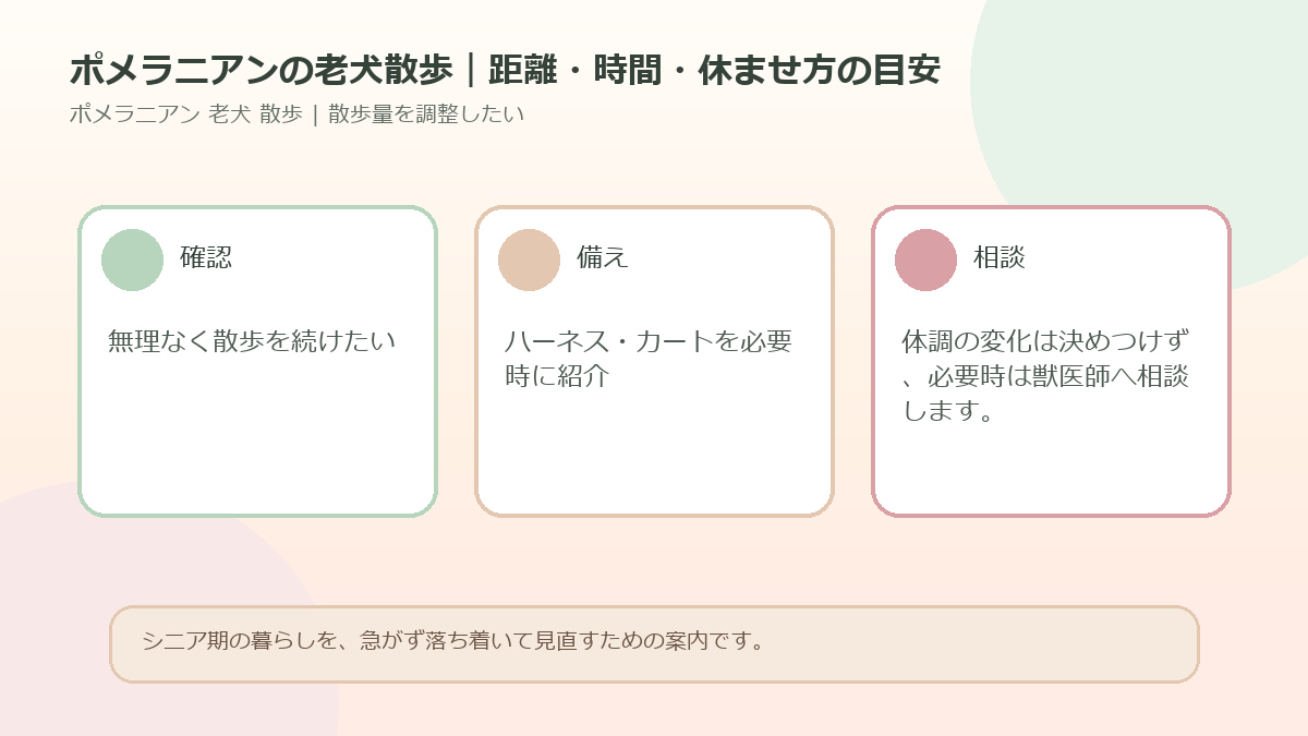 ポメラニアンの老犬散歩｜距離・時間・休ませ方の目安のアイキャッチ図解