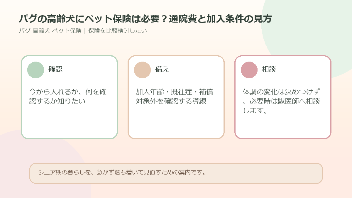 パグの高齢犬にペット保険は必要？通院費と加入条件の見方のアイキャッチ図解
