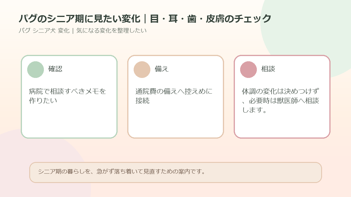 パグのシニア期に見たい変化｜目・耳・歯・皮膚のチェックのアイキャッチ図解