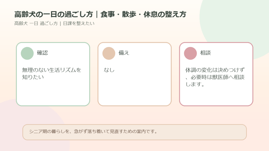 高齢犬の一日の過ごし方｜食事・散歩・休息の整え方のアイキャッチ図解