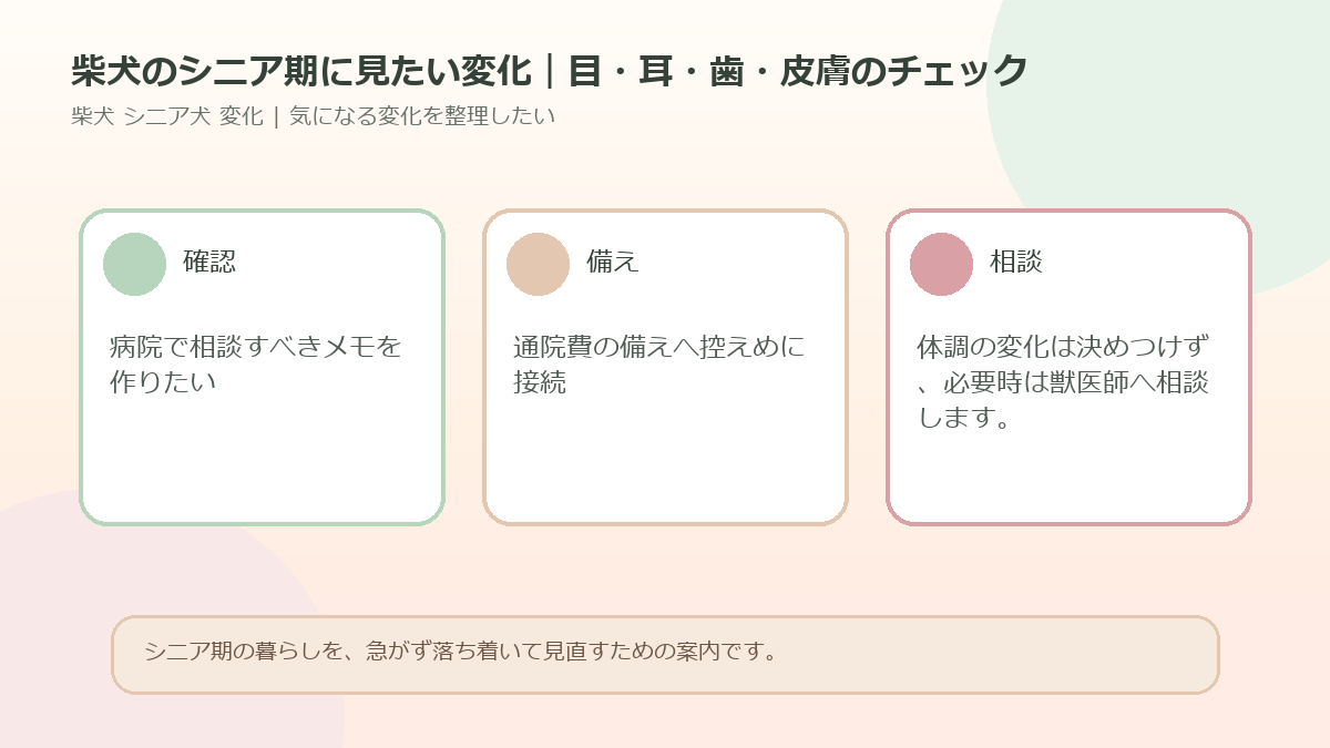 柴犬のシニア期に見たい変化｜目・耳・歯・皮膚のチェックのアイキャッチ図解