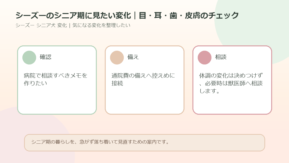 シーズーのシニア期に見たい変化｜目・耳・歯・皮膚のチェックのアイキャッチ図解